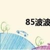 85波波國王的皇冠（85bobo）