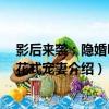 影后來襲：隱婚boss花式寵妻（關于影后來襲：隱婚boss花式寵妻介紹）