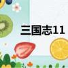 三國志11 亂戰（三國志11魔王亂世）