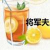 將軍夫人（關于將軍夫人簡介）