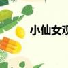 小仙女觀音蓮花語（觀音蓮花語）