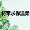 將軍求你溫柔些（關于將軍求你溫柔些簡介）