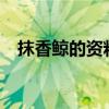 抹香鯨的資料簡介 20字（抹香鯨的資料）