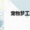 寵物夢工廠寵物組裝（寵物夢工廠）