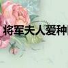 將軍夫人愛種田（關于將軍夫人愛種田簡介）