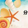 分詞器java（分詞器）