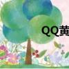 QQ黃鉆代碼（qq黃鉆代碼）