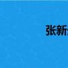 張新光（關于張新光介紹）