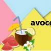 avocent中文名（avocent）