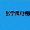 張學良電視劇40集播放（張學良電視劇）