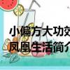 小偏方大功效/鳳凰生活（關于小偏方大功效/鳳凰生活簡介）