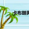 卡布朗男裝是幾線品牌（卡布朗）