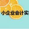 小企業會計實務（關于小企業會計實務簡介）