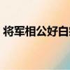 將軍相公好白癡（關于將軍相公好白癡簡介）