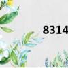 8314代表什么意思（8 31）