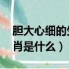 膽大心細的生肖,是什么生肖（膽大心細的生肖是什么）