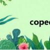 coped with的意思（cope）