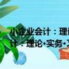 小企業會計：理論·實務·習題·解答 第二版（關于小企業會計：理論·實務·習題·解答 第二版簡介）