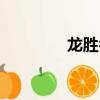 龍勝名族浴霸（民族浴霸）