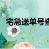 宅急送單號查詢怎么查（宅急送單號查詢）