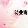 待業青年（關于待業青年介紹）