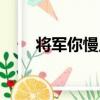 將軍你慢點（關于將軍你慢點簡介）