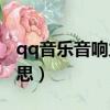 qq音樂音響力s13是什么意思（s13是什么意思）