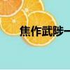 焦作武陟一中瞿衛華（焦作武陟一中）