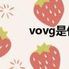 vovg是什么牌子（vov明星產品）
