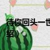 待你回頭一世相隨（關于待你回頭一世相隨介紹）