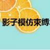 影子模仿束縛術（關于影子模仿束縛術介紹）