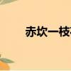 赤坎一枝花身世背景（赤坎一枝花）