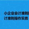 小企業會計準則操作實務 從2013年起執行（關于小企業會計準則操作實務 從2013年起執行簡介）