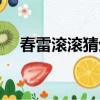 春雷滾滾猜生肖（春雷滾滾是什么生肖）