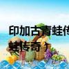 印加古青蛙傳奇電腦游戲怎么下載（印加古青蛙傳奇）