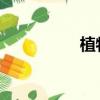 植物大戰僵尸ol修改器