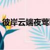 彼岸云端夜鶯歌（關于彼岸云端夜鶯歌介紹）