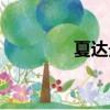 夏達最新圖片（夏達照片）