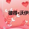 彼得·沃伊納（關于彼得·沃伊納介紹）