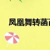 鳳凰舞轉菡萏紅 閱讀（鳳凰舞轉菡萏紅）