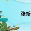 張新佳（關于張新佳介紹）