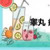睪丸 疙瘩 綠豆（睪丸 疙瘩）