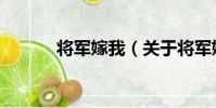 將軍嫁我(關于將軍嫁我簡介)