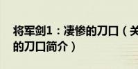 將軍劍1:凄慘的刀口(關于將軍劍1:凄慘的刀口簡介)
