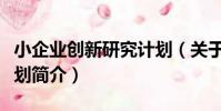 小企業創新研究計劃(關于小企業創新研究計劃簡介)