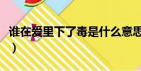誰在愛里下了毒是什么意思(誰在愛里下了毒)