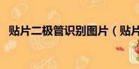 貼片二極管識別圖片(貼片二極管識別圖)