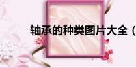 軸承的種類圖片大全(軸承分類)