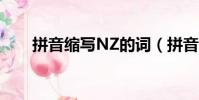 拼音縮寫NZ的詞(拼音縮寫zz的詞)