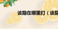 該隱在哪里打(該隱怎么抓)